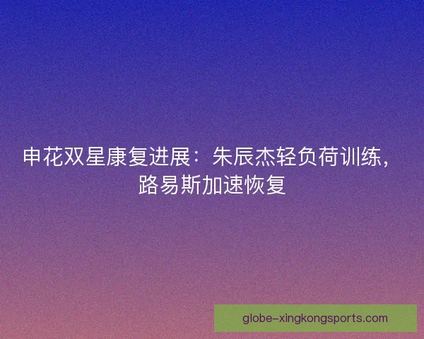 申花双星康复进展：朱辰杰轻负荷训练，路易斯加速恢复