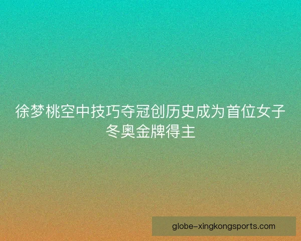 徐梦桃空中技巧夺冠创历史成为首位女子冬奥金牌得主